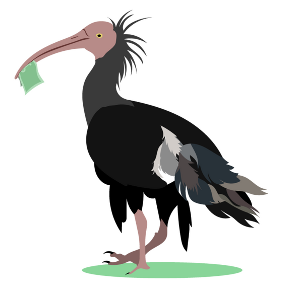 An asset created for the company &quot;IbisTrack&quot;