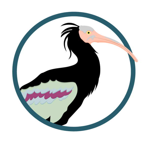 A logo created for the company &quot;IbisTrack&quot;